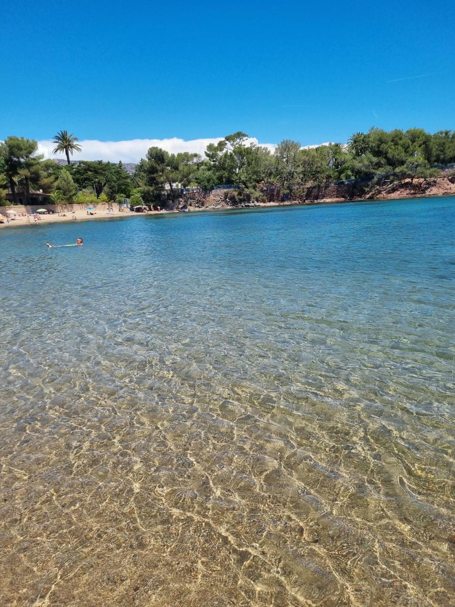 Studio 4P Vue Piscine St Raphael Valescure - Au Coeur Des Golfs Saint-Raphaël Εξωτερικό φωτογραφία