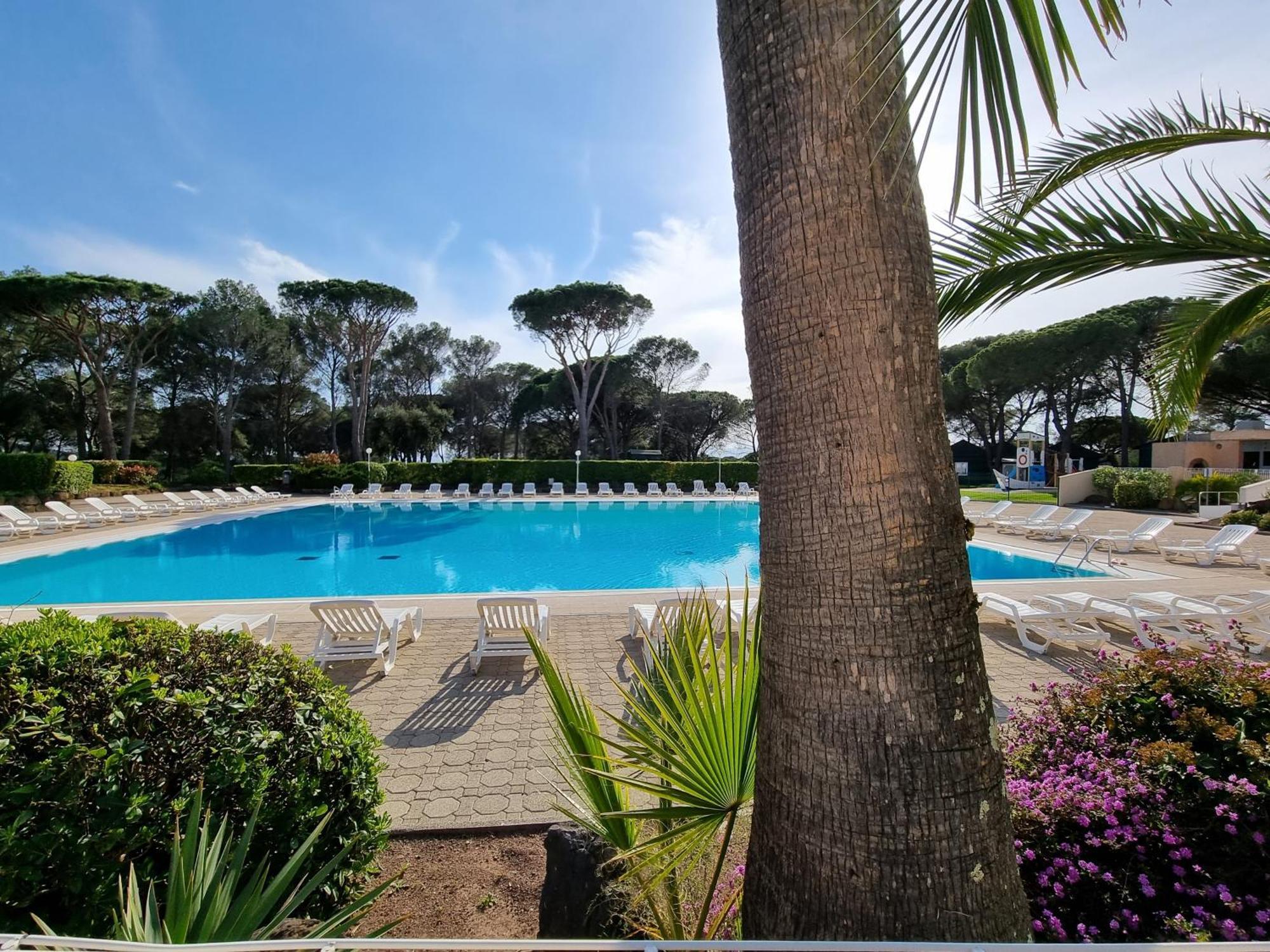 Studio 4P Vue Piscine St Raphael Valescure - Au Coeur Des Golfs Saint-Raphaël Εξωτερικό φωτογραφία
